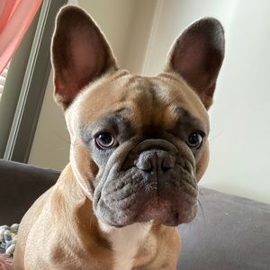 Meet your Posher, Mark